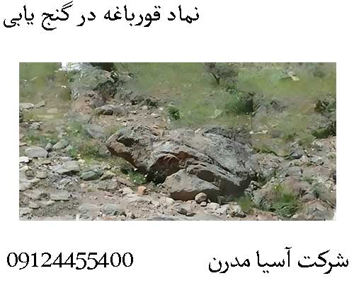 نماد قورباغه در گنج یابی09124455400