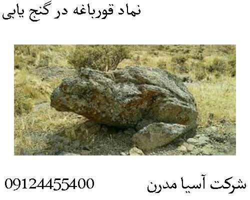 نماد قورباغه در گنج یابی09124455400
