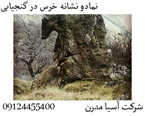 نمادو نشانه خرس در گنجیابی 09124455400
