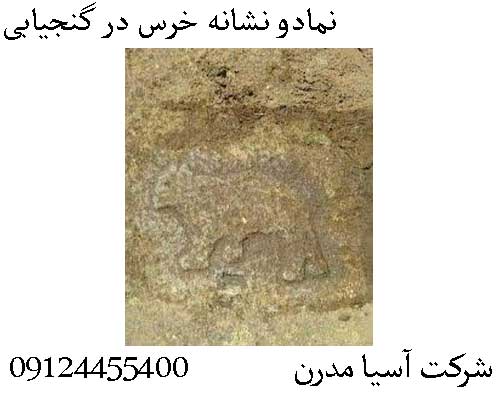 نمادو نشانه خرس در گنجیابی 09124455400