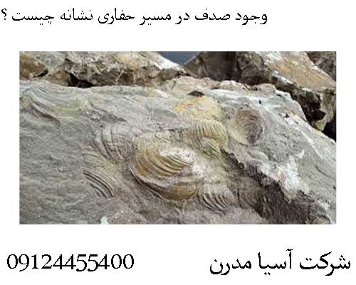 وجود صدف در مسیر حفاری نشانه چیست؟09124455400
