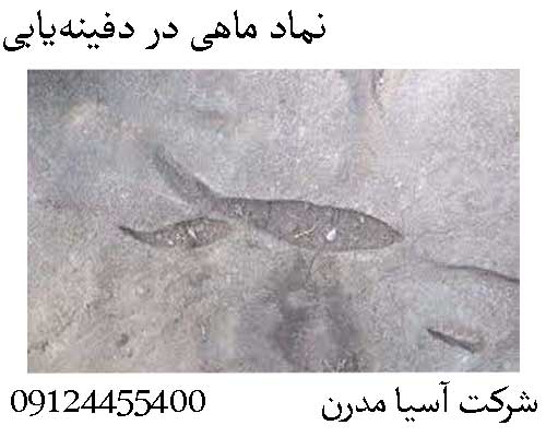 نماد ماهی در دفینه‌یابی09124455400