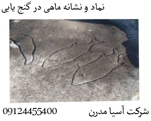 نماد و نشانه ماهی در گنج یابی09124455400