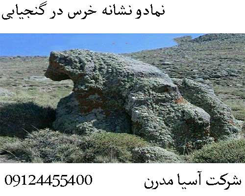 نمادو نشانه خرس در گنجیابی